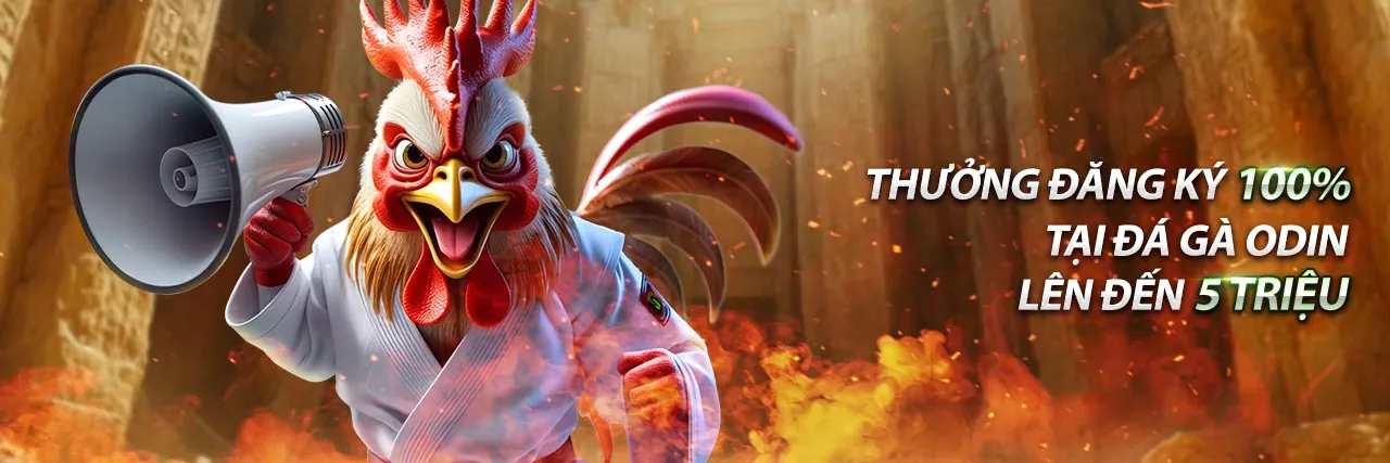 Đá Gà Trực Tuyến Kịch Tính tại hb88 Trang Chủ Chính Thức